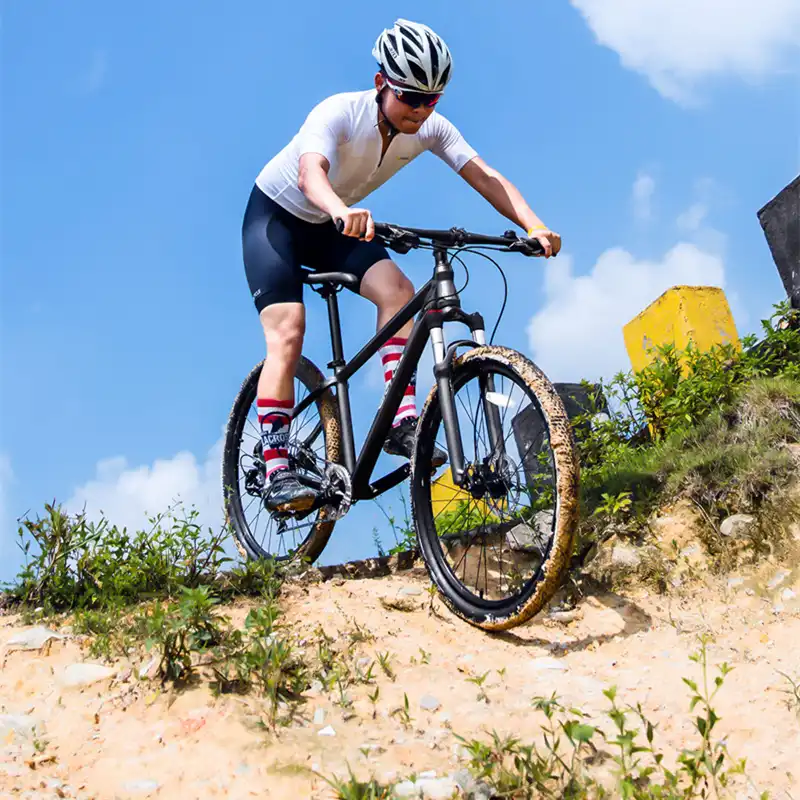 xiaomi qicycle xc650