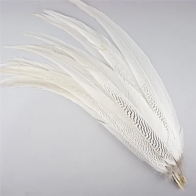 natural-silver-pheasant-feather-tail-spxl--n-main