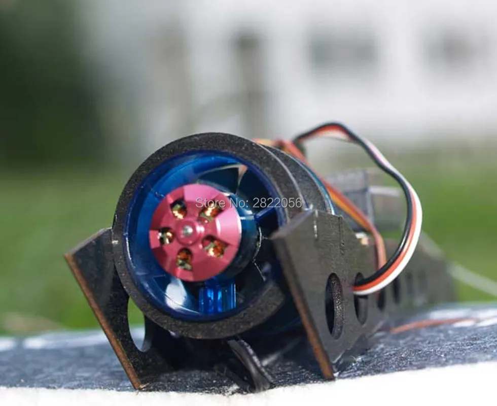 Rainbow Fly wing-1 (6)_