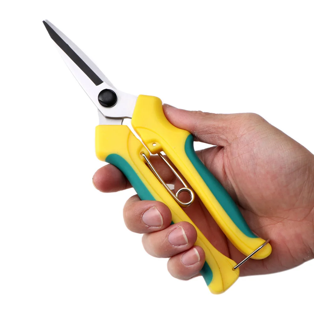 

Bonsai Tool Straight Mouth Fruit Tree Scissors Orchard Dilute Fruit Scissors Gardening Tool QJ888