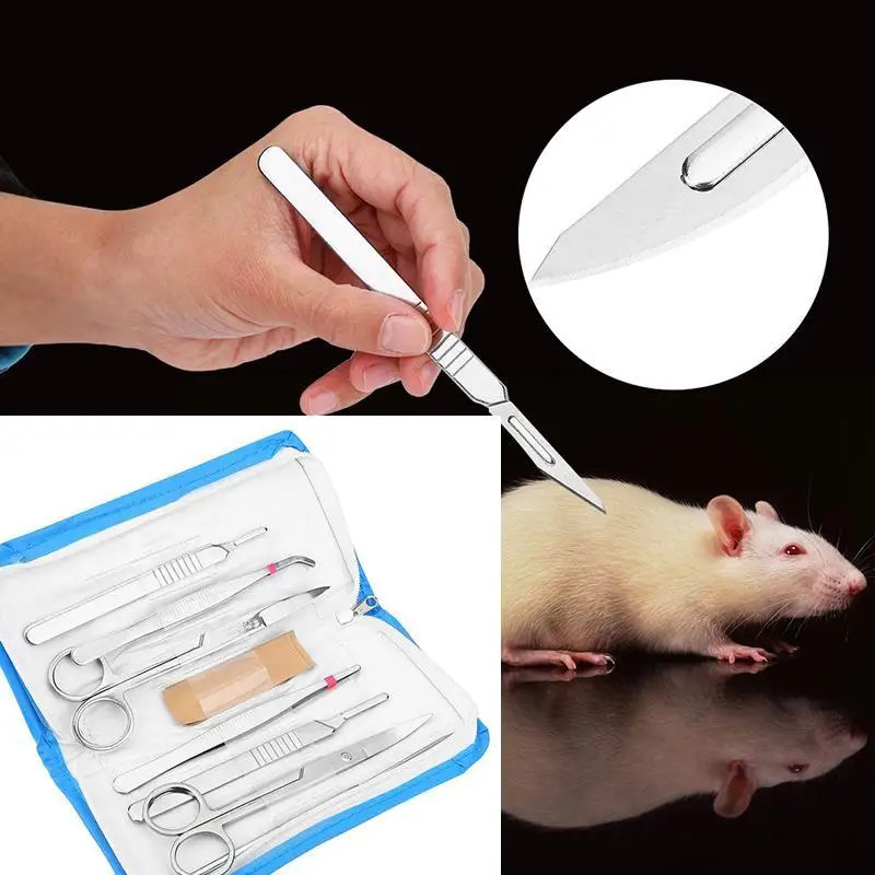 

Dissection tools with bag 7pcs stainless steel student durable silver kit
