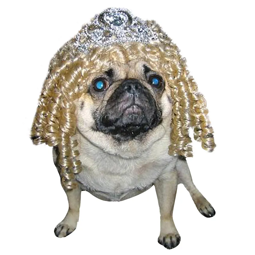 

Fancy Dress Up Lovely Silver Short Curly Wigs Pet Wig Costume For Dog Cat
