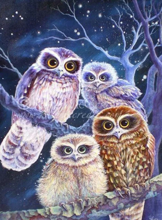

5D Diamond Painting Owl Scenery Diamond Embroidery Landscape Cross Stitch Full Crystal Wall Painting Christmas gift