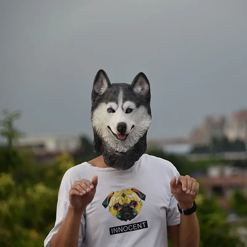 HTB1RdWbSVXXXXa5XpXXq6xXFXXXy