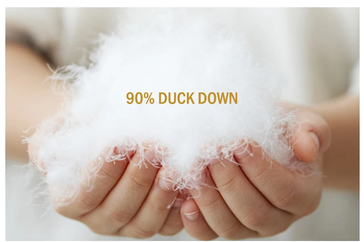 duck  down