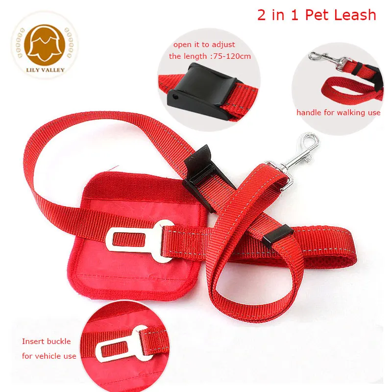 dog-walking-vehicle-leash