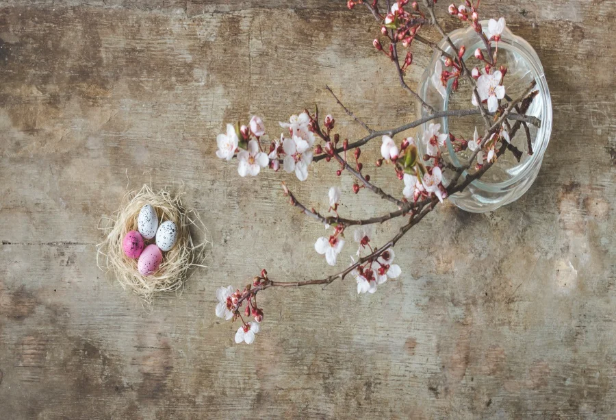 Laeacco Photo Backdrops Easter Eggs Hay Nest Spring Flowers Old Dark Wooden Board Newborn Photography Backgrounds Studio | Электроника