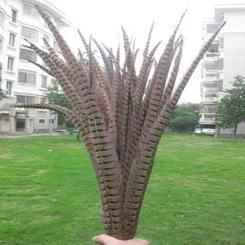 

Wholesale 100pcs pretty 70-80 cm / 28-32 inch natural pheasant tail feathers