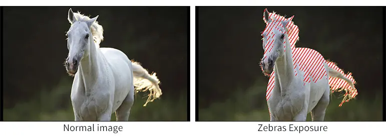 exposure zebars