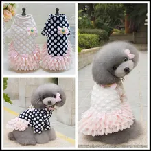 Cute Dot Pet Apparel Winter Cotton Dog Clothes Blue Pink Dog Princess Dress for Small Dogs Cats Bowknot Chihuahua Dresses Skirt