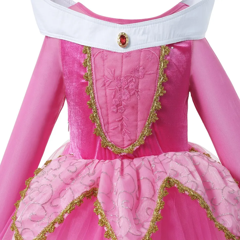 Rose Sleeping Beauty Cosplay Costume (4)