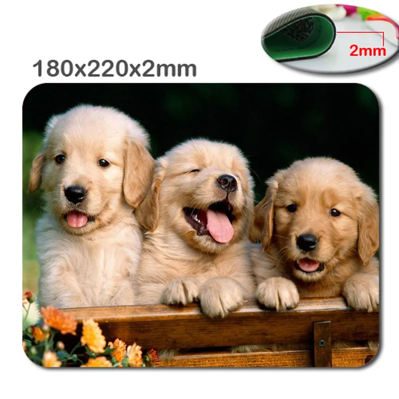 

Animals Cat Kitten Dog Golden Retriever Puppy Mousepad,Custom Rectangular Mouse Pad in 220*180*2mm - office accessory and