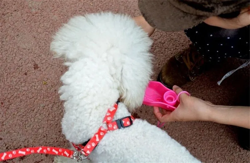 G44_2017_New_Foldable_Plastic_Pet_Dog_Cats_Feeding_Water_Bottle_Portable_Outdoor_traveling_Dogs_Drinking_Water_Bottles_ (6)