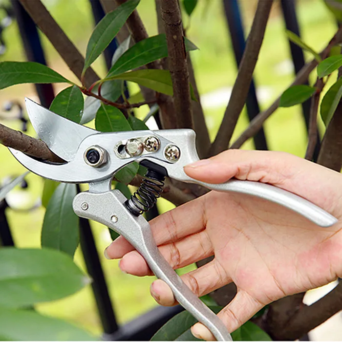 ФОТО 2016 New High-grade scissors gargen tree branch pruning Tools with lock catch home gardening common shears tools free shipping
