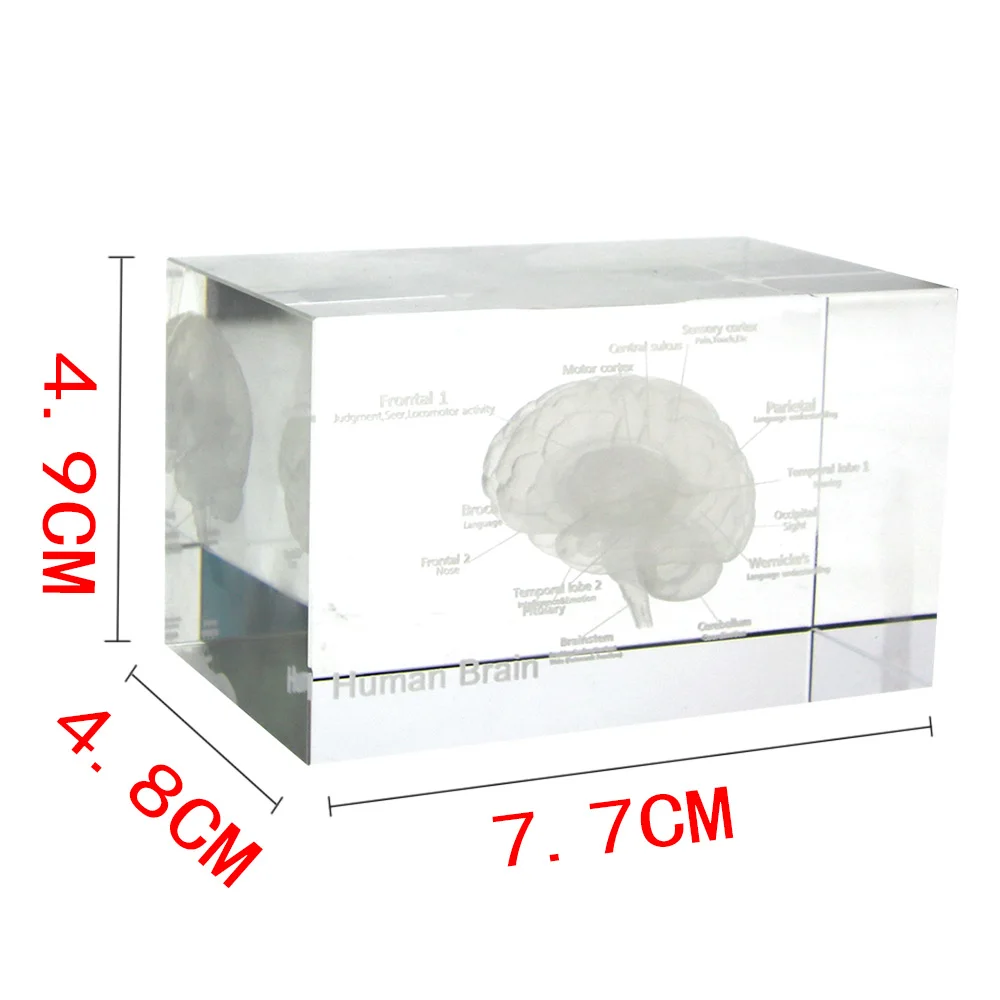GG-053#S010