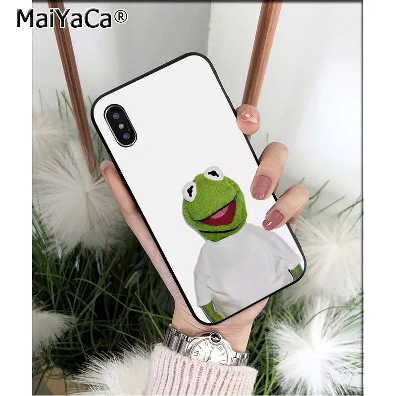 Kermit the frog