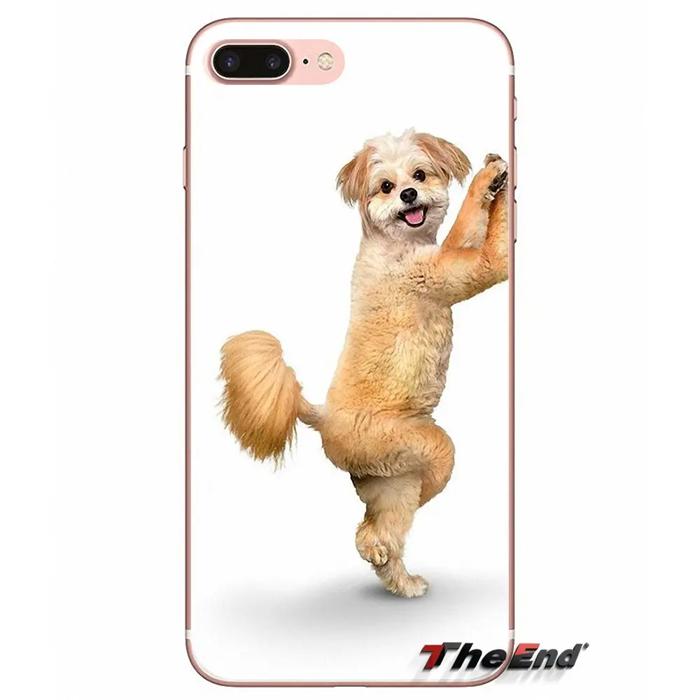 Мягкий чехол для мобильного телефона Yoga Cats dogs Apple iPhone X 4 4S 5 5S SE 5C 6 6S 7 8 Plus 6Plus 7plus plus