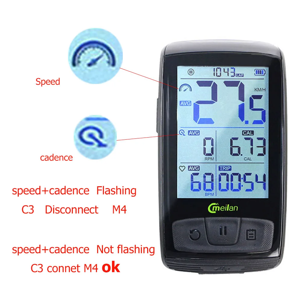 speed+cadence  Not flashing