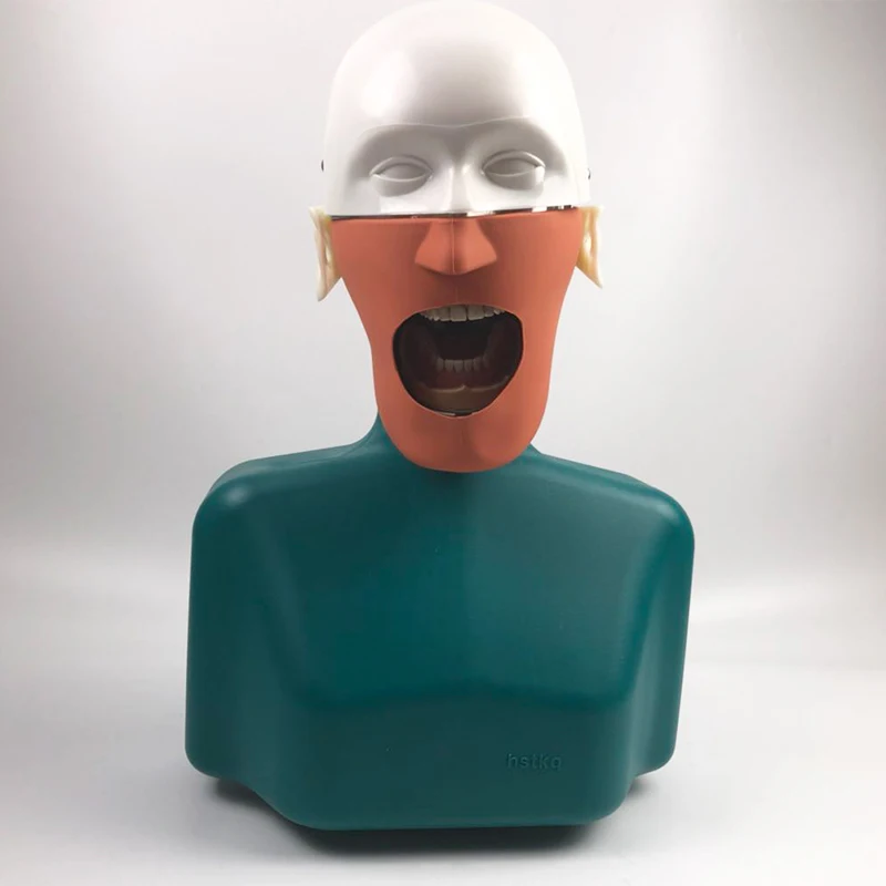 Dental education model Dental manikins Phantom Head Sennior manikins
