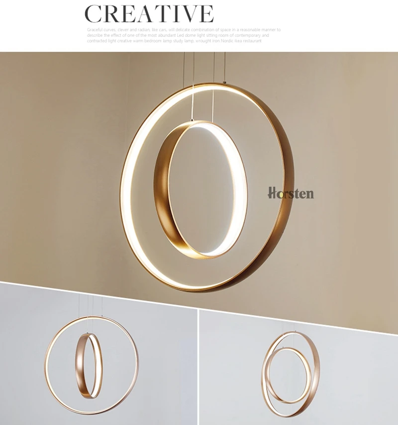 Nordic Creative LED Pendant Lights Lamp Minimalist Aluminum Double Ring LED Hanging Lighting For Dining Room Bar Cafe (3)