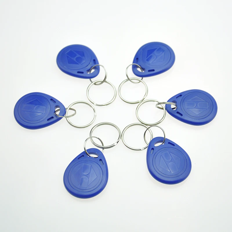 

TK4100 100pcs/lot 125KHz China Manufacturer Price Best Quality Rfid Key Tags Card/key fobs/key chain