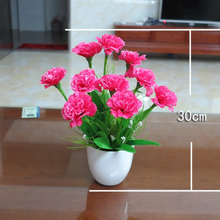 The flowers of carnation holiday gift set plastic flowers flower vase