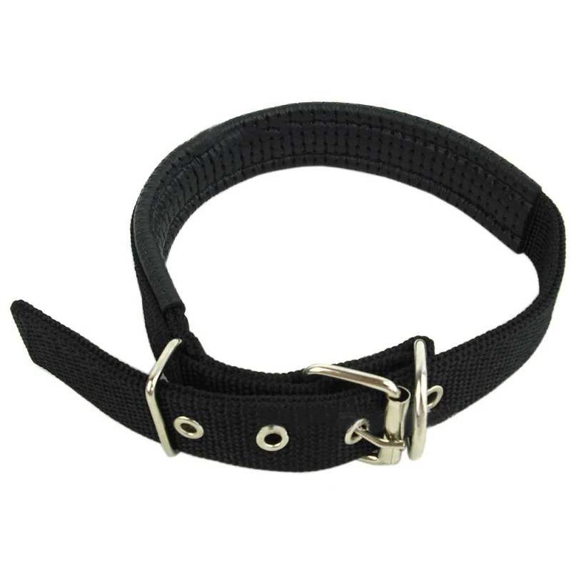 Adjustable Metal Neck Strap Pet Dog Nylon Sponge Comfortable Buckle
