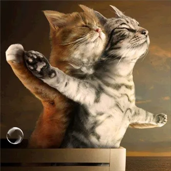 

DIY Funny Cat 5D Diamond Painting Full Round Drill Embroidery Rhinestones Cross Stitch Handicraft Home Decor Mosaic Painting