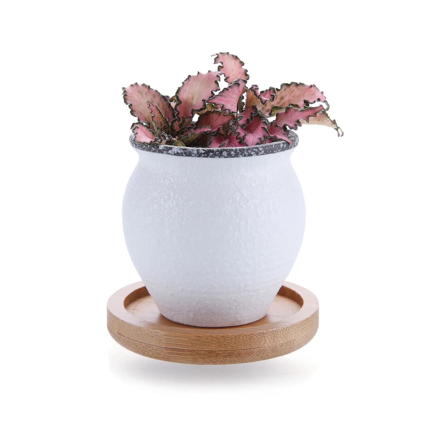 T4U 2,25 дюймов керамика мини в Корейском стиле снег серийный сочный кактус завод цветочный горшок контейнер плантатор с бамбуковыми лотками