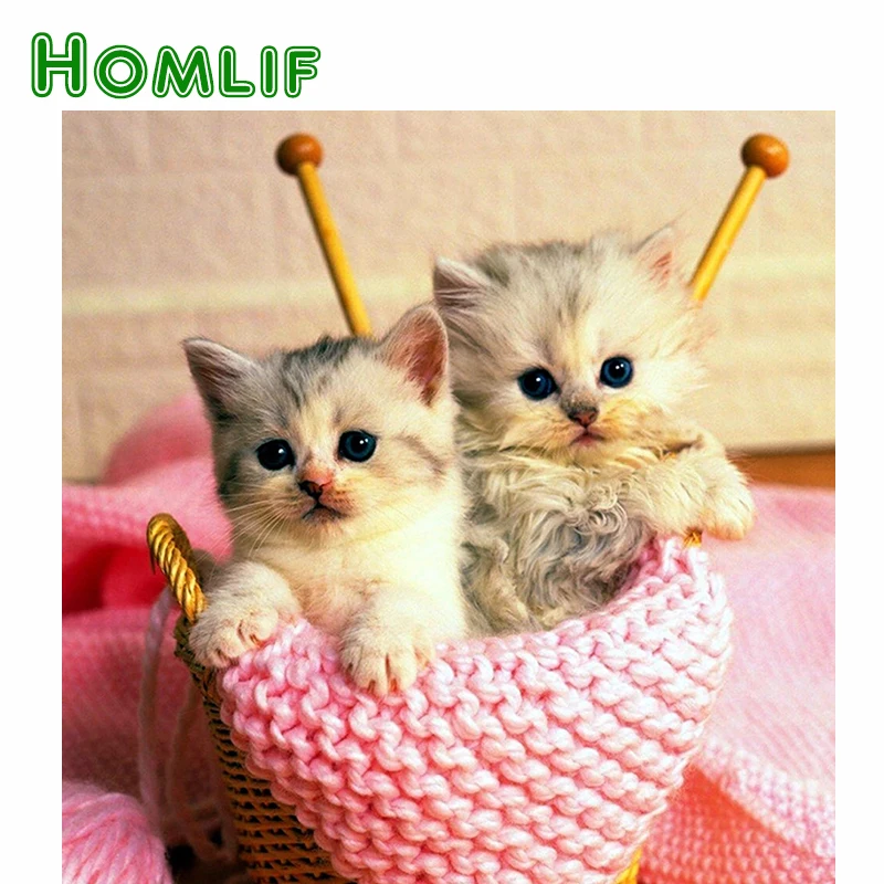 Сладкий котенок картинки