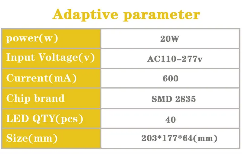 Flood Light DY-FLSMD-20w-9-2
