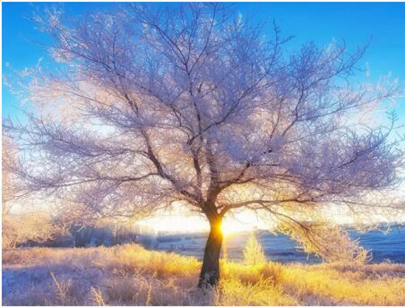 5D DIY Diamond Painting Purple tree Of Rhinestones Full circular Embroidery Cross stitch Wall Sticker Home Decor | Дом и сад