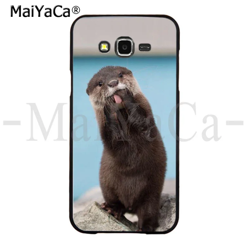 Animal otter