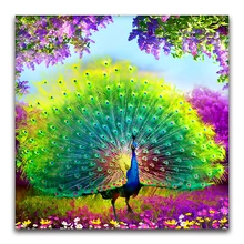 Пользовательские алмазная живопись животные Павлин Вышивка крестиком Санта Клаус Снеговик hibah домашний декор diy pintura Алмазная мозаика Круз фильм