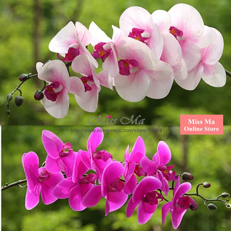 Vases Design Ideas Orted Everyday Whole Flowers And Whole Flowers
