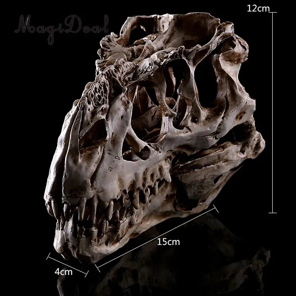 MagiDeal Resin T-rex Skull Replica Skeleton Figurine Collection for Medical teaching Bar Halloween Decoration White
