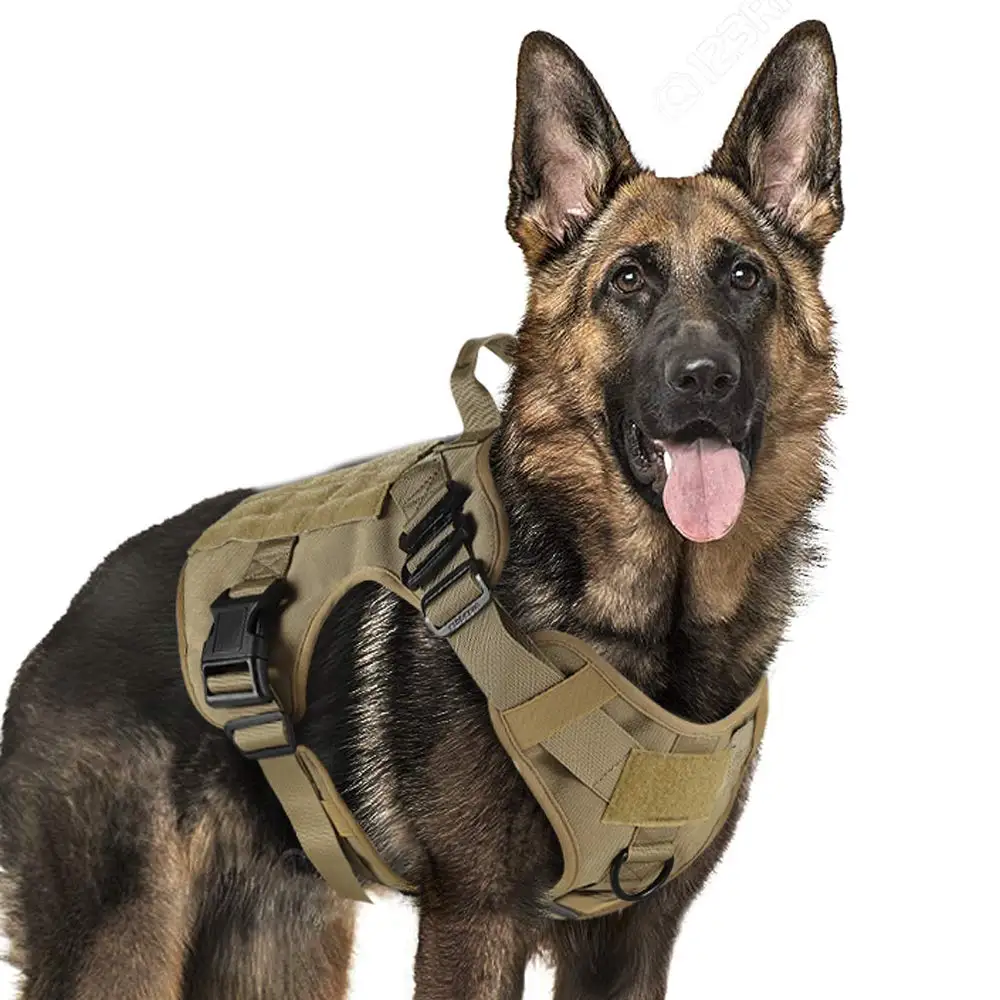 Military Tactical Dog Harness K9 Working Dog Vest Nylon Bungee Leash ...