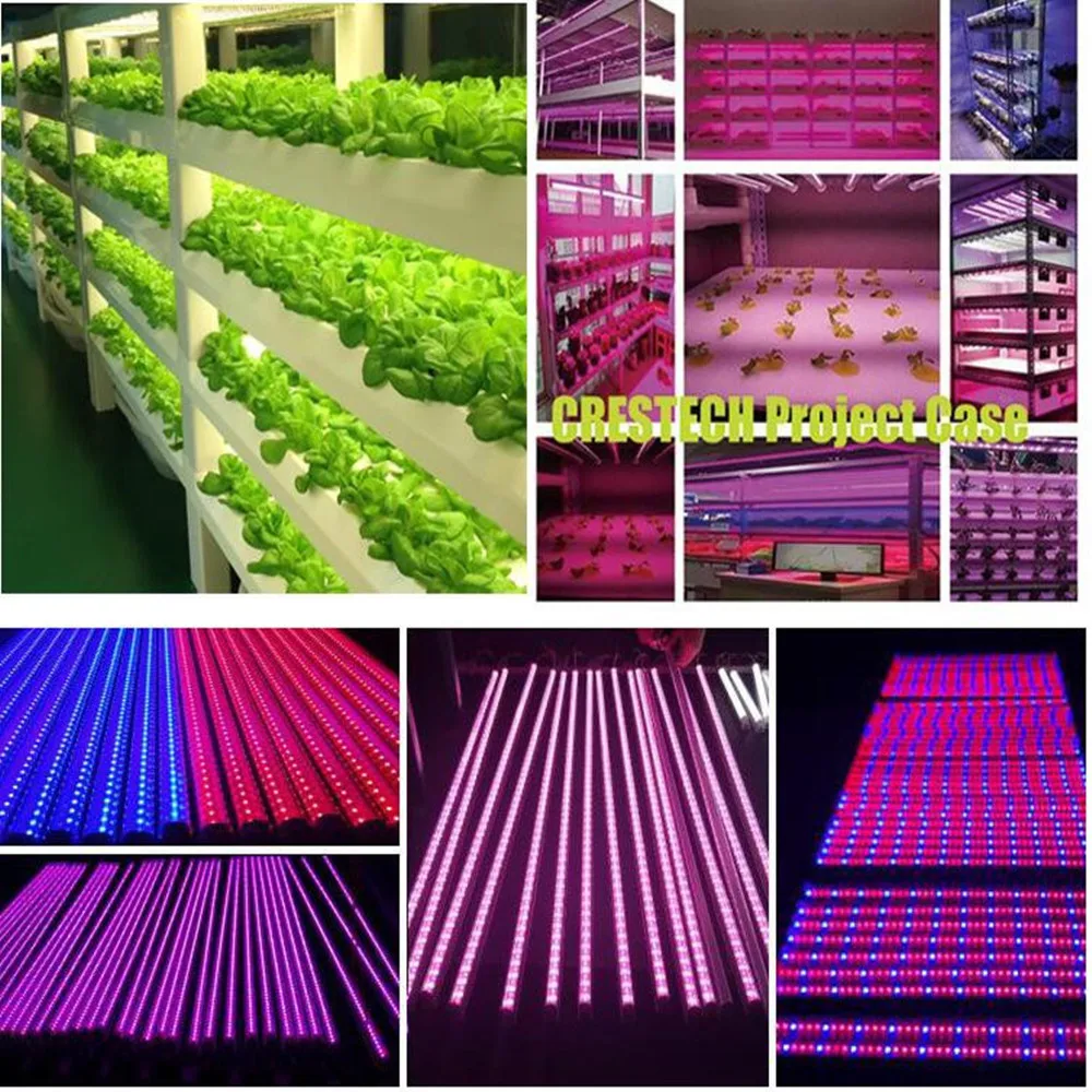Светодиодный светильник для выращивания, полный спектр, T8, светодиодный светильник для комнатных растений, гидропонная система, теплица, светодиодный светильник для выращивания растений