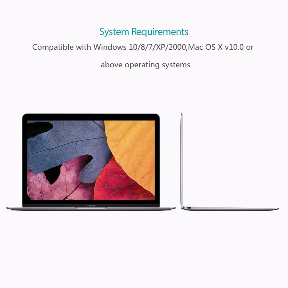 C-1