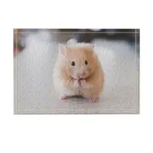 Декор с животными Милая мышь для домашних животных, еда, коврик для ванной, нескользящий дверной коврик, напольный вход, открытый дверной коврик