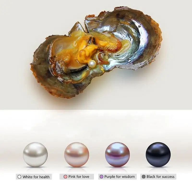 

1pcs Love Wish Drop Pearl Pendant Gift DIY Pearl Mussel Oyster Vacuum Pack