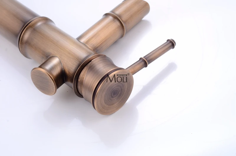 moli2