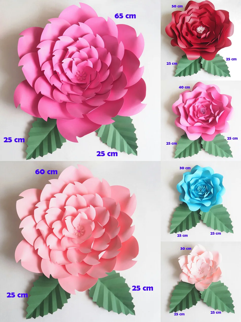 size 25 cm