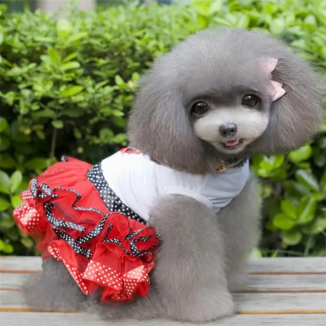 Buy Small Tutu Dog Puppy Wedding Heart Dress Luxury Pink Dog Girl Princess