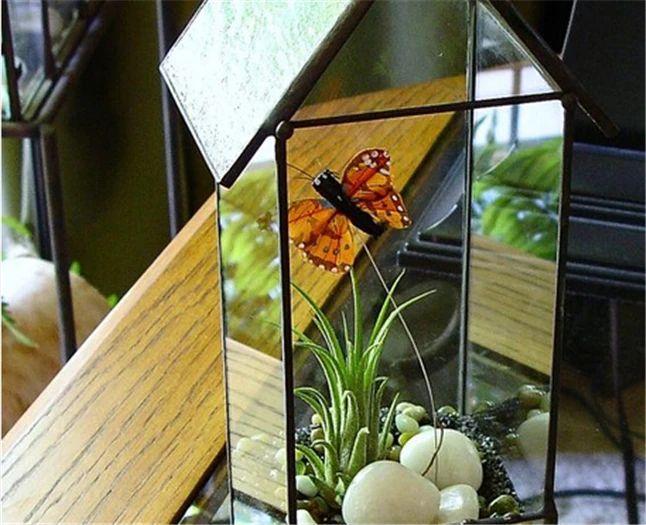 Glass Terrarium6.jpg