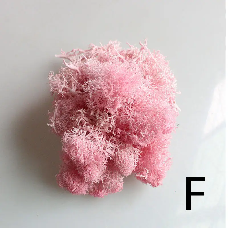 Новинка, натуральное Норвежское оленье мох, консервированное сушеное ремесло, цветочное украшение, свадебное украшение для сказочного сада, Декор - Цвет: F