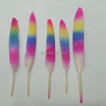 

90pcs x10-15cm Rainbow Duck Cocottes feathers,Painted Duck feathers for craft/millinery/flyfishing,