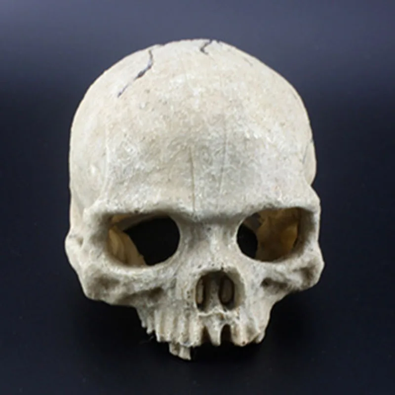 

Skull Aquarium Decoration Terrarium Reptile Fish Tank Ornament Simulation Landscape 899