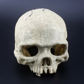 

Skull Aquarium Decoration Terrarium Reptile Fish Tank Ornament Simulation Landscape 899