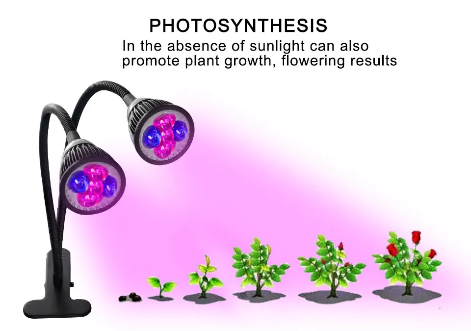 3 Heads LED Grow Light Dual Head 15W Plant Grow Lamp (6)